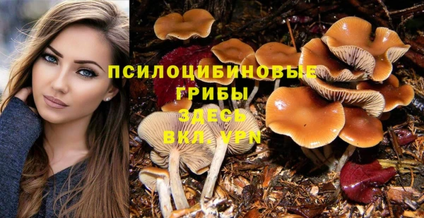 MDMA Premium VHQ Богородск