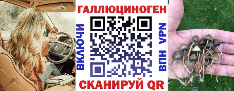 Галлюциногенные грибы GOLDEN TEACHER  Купить  Чернушка 